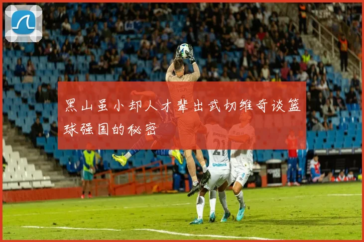 黑山虽小却人才辈出武切维奇谈篮球强国的秘密